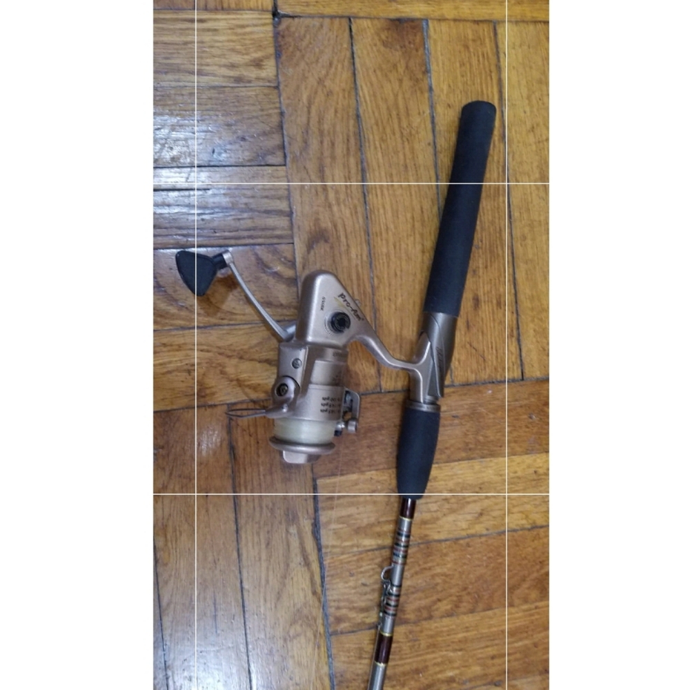 Fishing rod